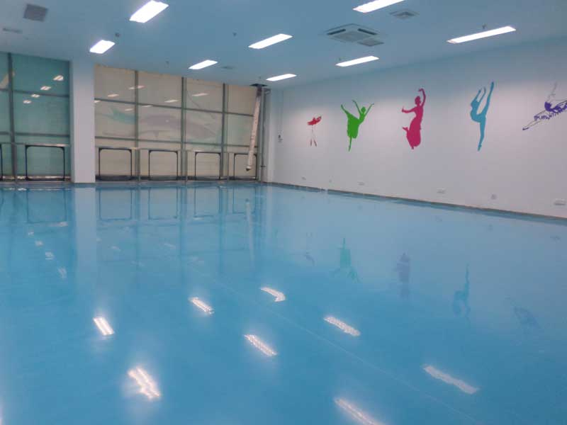 北京市大興區(qū)舞蹈地板