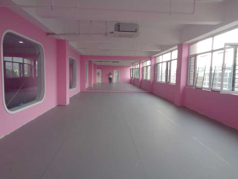 山東舞蹈教室地板 山東省濟寧市婷婷舞蹈學(xué)校舞蹈教室地板