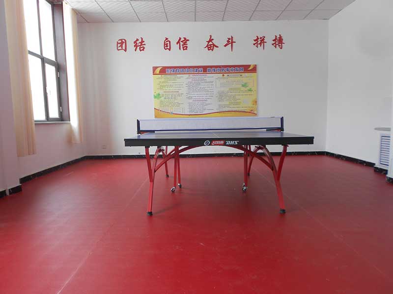乒乓球場(chǎng)地使用塑膠乒乓球運(yùn)動(dòng)地板是趨勢(shì)
