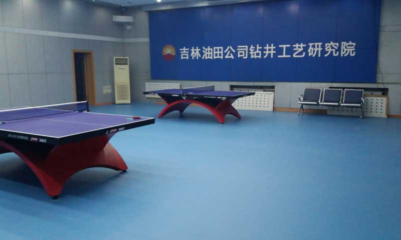 吉林省松原市寧江區(qū)乒乓球地膠 吉林省松原市寧江區(qū)乒乓球地膠